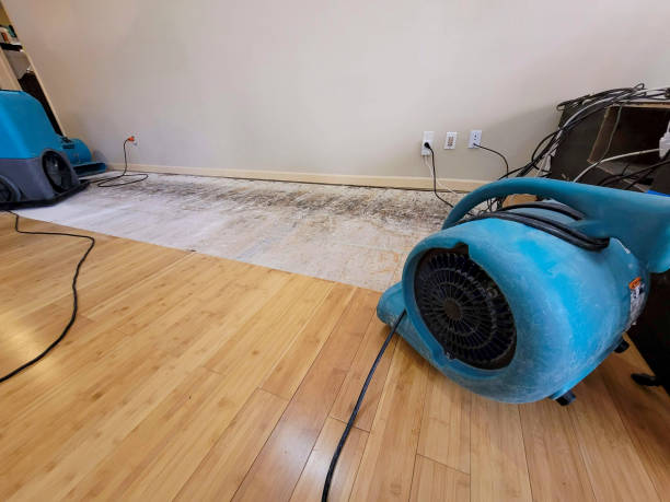 Professional Ceiling Water Damage Repair technician working in Oak Hill, FL
